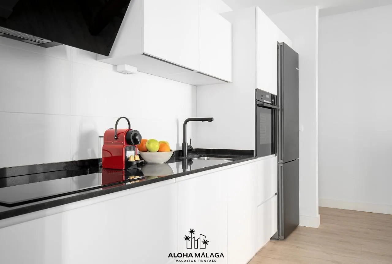 Luxury Duplex With Pool And Padel Court In Town Apartment Malaga