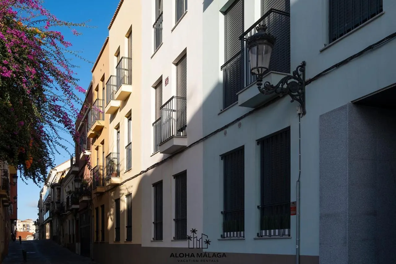 Luxury Duplex With Pool And Padel Court In Town Appartement Málaga