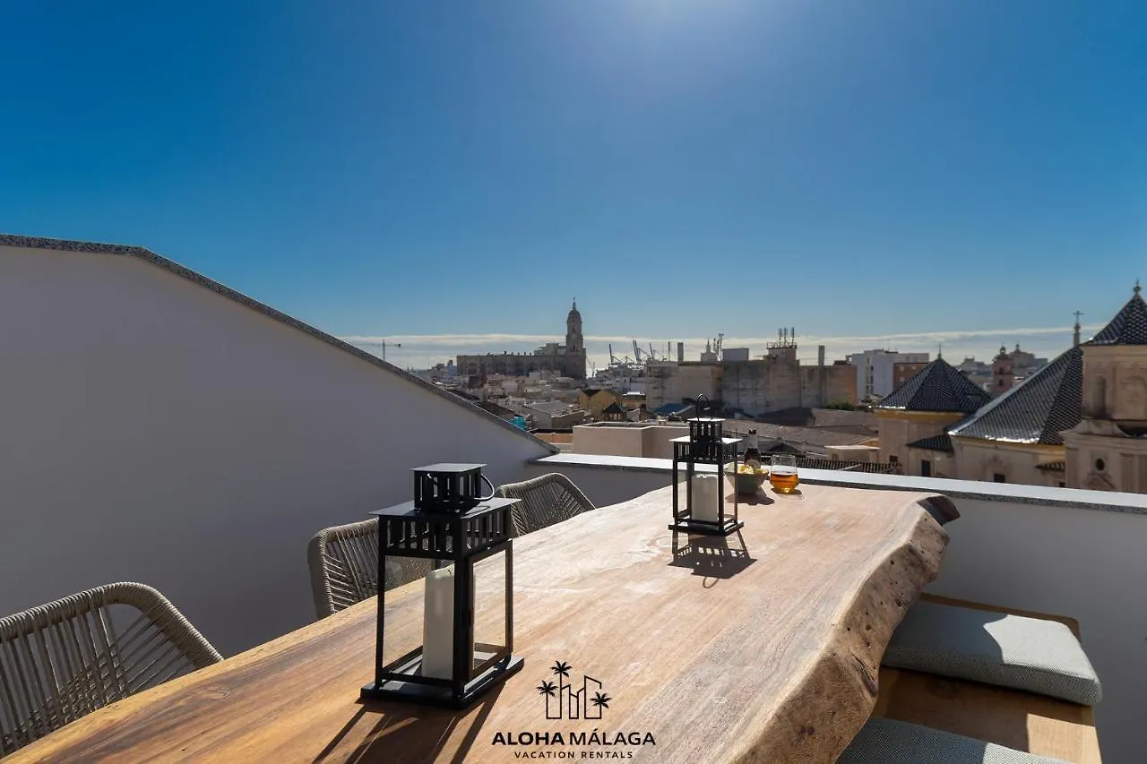Luxury Duplex With Pool And Padel Court In Town Appartement Málaga