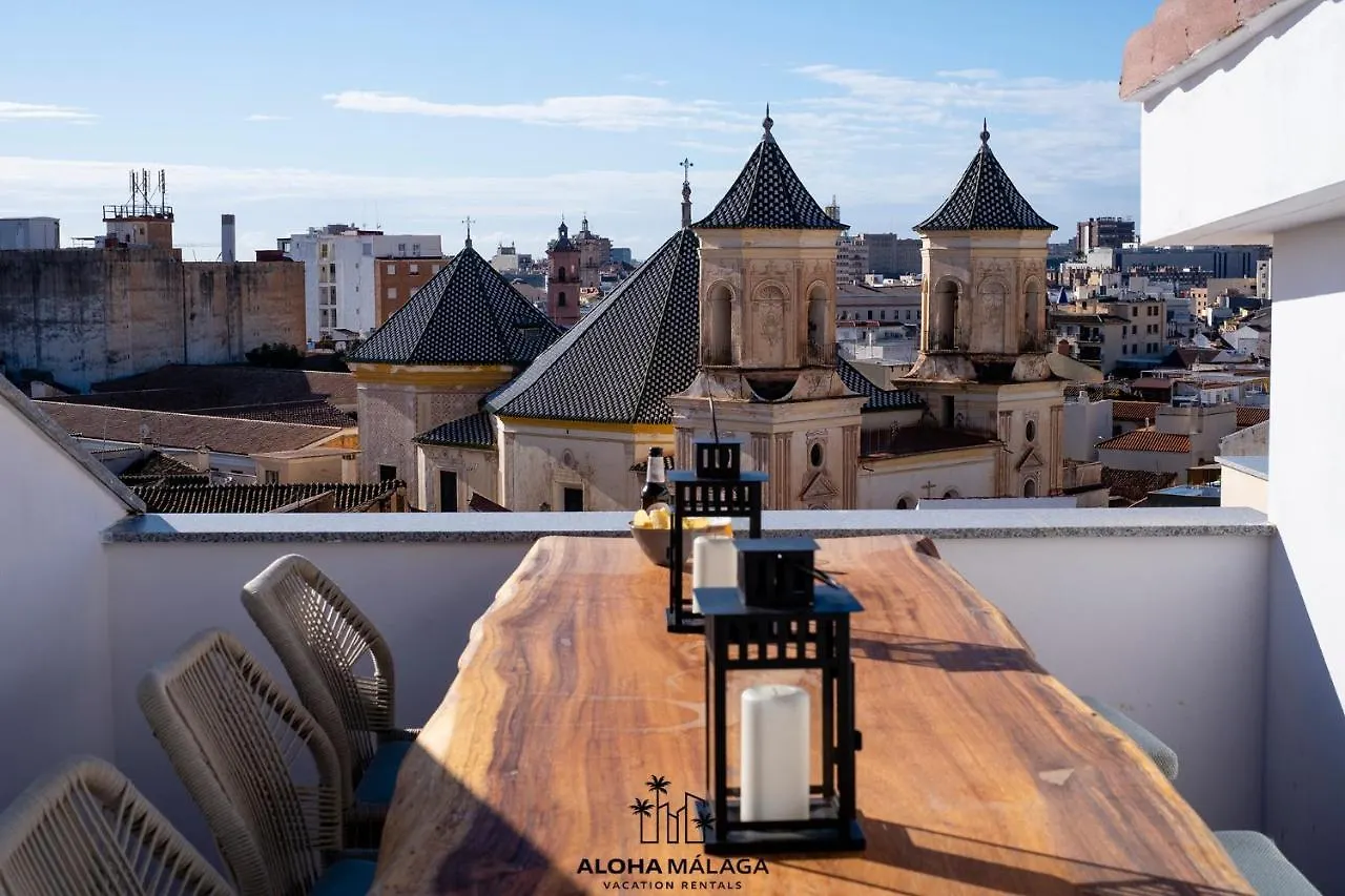 Luxury Duplex With Pool And Padel Court In Town Appartement Málaga Spanje