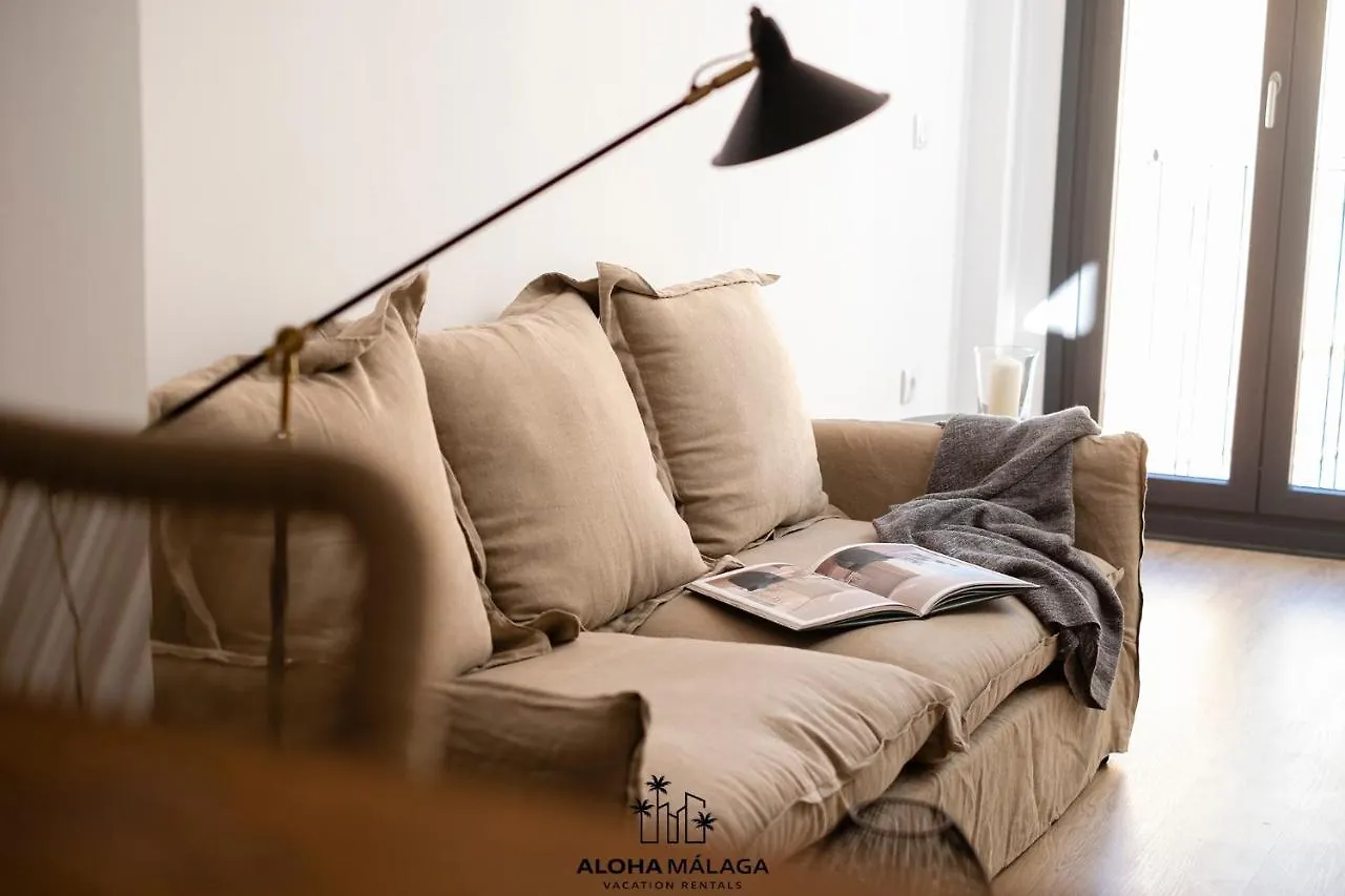 Luxury Duplex With Pool And Padel Court In Town Appartement Málaga