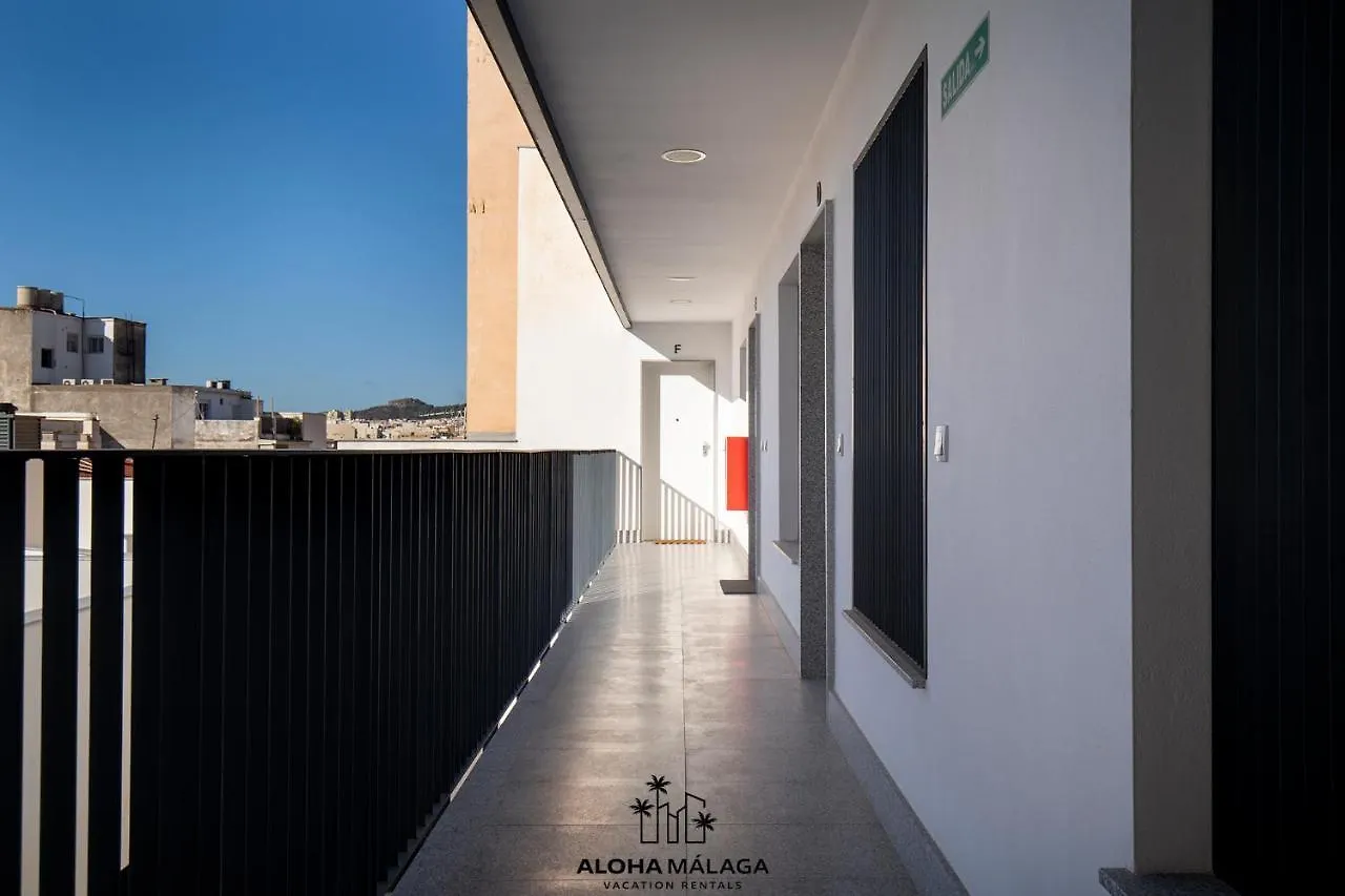 Luxury Duplex With Pool And Padel Court In Town Appartement Málaga