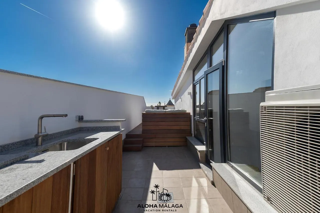 Luxury Duplex With Pool And Padel Court In Town Appartement Málaga Spanje