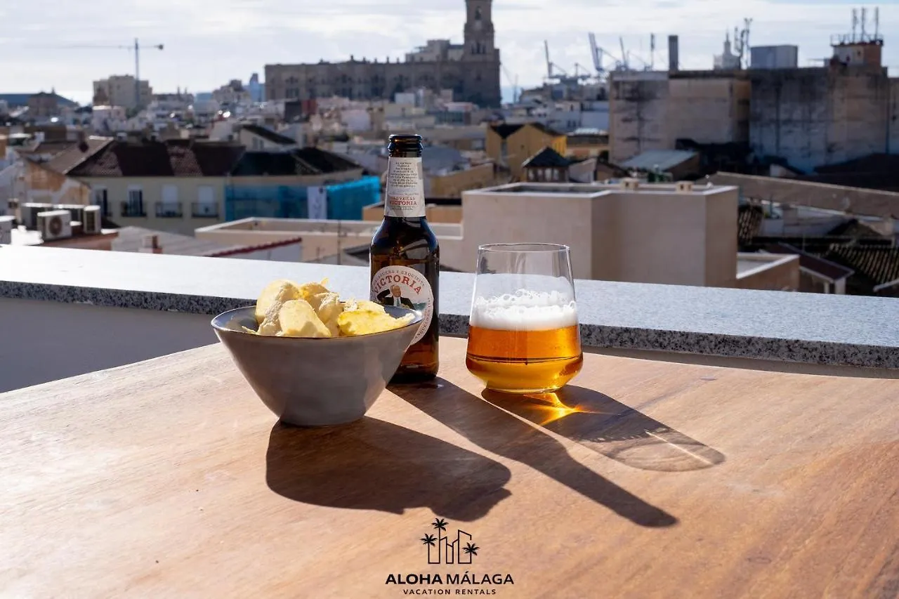 Apartamento Luxury Duplex With Pool And Padel Court In Town Málaga